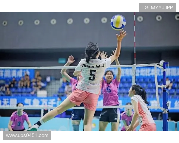 成都排球队的力量分析与发展潜力探讨 成都排球队的力量分析与发展潜力探讨