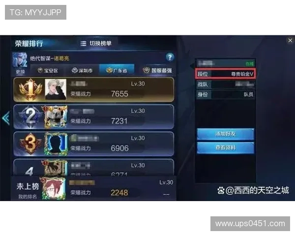 陈强独家分享王者荣耀游戏心得与技巧助你快速提升段位与游戏体验